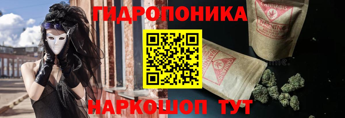 Бошки Шишки сатива Химки